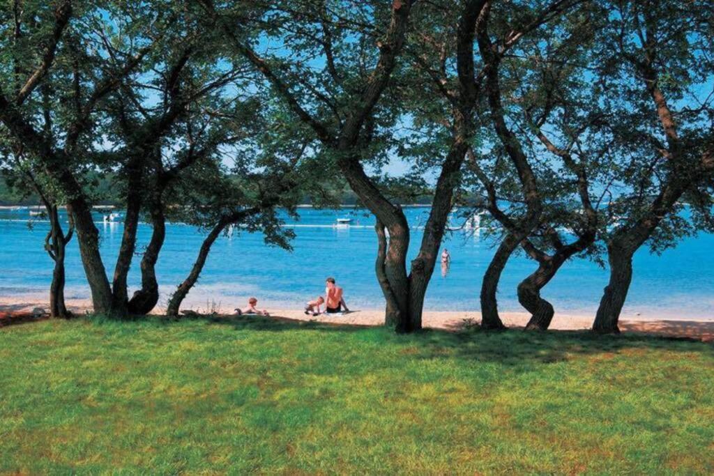 Viva 2 Rovinj Daire Dış mekan fotoğraf