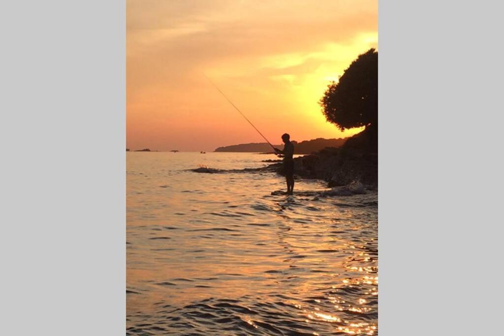 Viva 2 Rovinj Daire Dış mekan fotoğraf