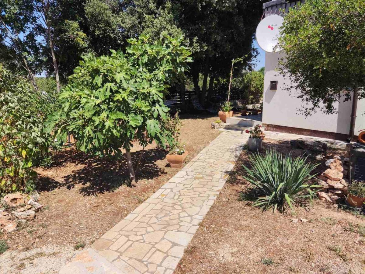Viva 2 Rovinj Daire Dış mekan fotoğraf